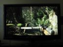 Battlefield: 2 & Bad Company 2 PC - [cz�� 186] - Beta ko�czy si� 25.II. - _MaZZeo