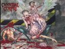 okadki metalowych kapel - Behemoth