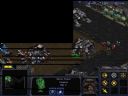 Problem ze StarCraft 1 - Karule