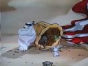 Dorastalicie w latach osiemdziesitych lub dziewidziesitych...??? cz.3 - Dryf Wiatrw Zachodnich