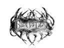 Black Ice Tales [amatorski projekt gry cRPG] - Shergar