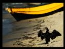 Aparaty cyfrowe: zdj�cia, jaki kupi�, porady : cz. 206 - smuggler