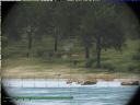 ArmA: Armed Assault [cz 48] "Nowa cz, nowy pocztek" - T_bone
