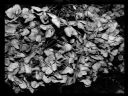 Aparaty cyfrowe: zdj�cia, jaki kupi�, porady : cz. 206 - hubercik015