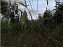 ArmA: Armed Assault [cz 48] "Nowa cz, nowy pocztek" - T_bone