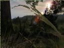 ArmA: Armed Assault [cz 48] "Nowa cz, nowy pocztek" - T_bone