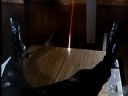 Filmo�ercy - jaki to film? :::kadr 386::: - sparrhawk