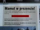 Darmowy klucz CD-Action dla Age of Connan - unikatowy wierzchowiec - mamut - yestri
