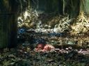 Filmo�ercy - jaki to film? :::kadr 392:::  - yazz_aka_maish