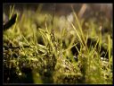 Aparaty cyfrowe: zdj�cia, jaki kupi�, porady : cz. 219 - hubercik015