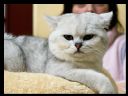 Aparaty cyfrowe: zdj�cia, jaki kupi�, porady : cz. 219 - yasiu