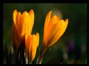 Aparaty cyfrowe: zdj�cia, jaki kupi�, porady : cz. 219 - yasiu