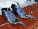 True metalowe buty - peterkarel