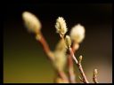 Aparaty cyfrowe: zdj�cia, jaki kupi�, porady : cz. 219 - yasiu