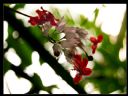 Aparaty cyfrowe: zdj�cia, jaki kupi�, porady : cz. 219 - hubercik015