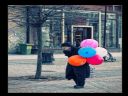 Aparaty cyfrowe: zdj�cia, jaki kupi�, porady : cz. 219 - smuggler