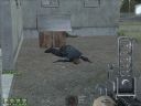 ArmA: Armed Assault [cz�� 68] "Taktyka 'Na Plastusia' to mit!" - Madkongothonurgh