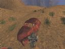 Gothic * Gothic 2 & Noc Kruka * Gothic 3 (cz. 151) - Yancy