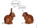 Zaj�czek na wielkanoc :) - Backside
