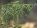 Aparaty cyfrowe: zdj�cia, jaki kupi�, porady : cz. 207 - N2