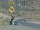 Filmo�ercy - jaki to film? :::kadr 386::: - rychu666