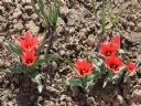 Aparaty cyfrowe: zdj�cia, jaki kupi�, porady : cz. 207 - Plantator