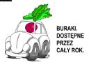 "Idzie wiosna, b�d� warzywa" - kampania policyjna skierowana do motocykl... - Kubcy�!