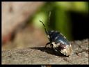 Aparaty cyfrowe: zdj�cia, jaki kupi�, porady : cz. 207 - ewelina_m