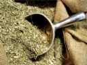 Yerba Mate - Jeremy