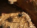 Aparaty cyfrowe: zdj�cia, jaki kupi�, porady : cz. 207 - Levi