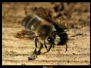 Aparaty cyfrowe: zdj�cia, jaki kupi�, porady : cz. 207 - ewelina_m