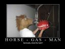 chce takiego osiolka! (dramatic donkey cigarette dispenser) - Orl@ndo