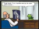 Kermit u lekarza - tomazzi