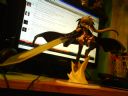Manga, Anime, J-music - oficjalny w�tek mi�o�nik�w kultury Japonii cz.172 - TiGeReK