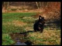 Aparaty cyfrowe: zdj�cia, jaki kupi�, porady : cz. 219 - yasiu