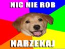 I albo nie i, oto jest pytanie - praca - CzykiRapMen