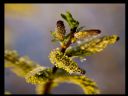 Aparaty cyfrowe: zdj�cia, jaki kupi�, porady : cz. 219 - yasiu