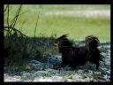 Aparaty cyfrowe: zdj�cia, jaki kupi�, porady : cz. 219 - yasiu