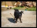 Aparaty cyfrowe: zdj�cia, jaki kupi�, porady : cz. 219 - yasiu