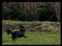 Aparaty cyfrowe: zdj�cia, jaki kupi�, porady : cz. 219 - yasiu