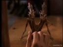 Filmo�ercy - jaki to film? :::kadr 393:::  - DexteRity