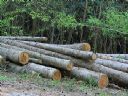O si�owni, po si�owni |Cz�� 13|  - Kleryk 85
