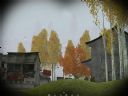 ArmA: Armed Assault [cz�� 68] "Taktyka 'Na Plastusia' to mit!" - Madkongothonurgh