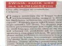 W jakie zabawy bawilicie si w swoim dziecistwie? - Metzger
