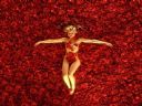 American Beauty - Dzisiaj w TVN7 - �yczek