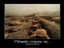ArmA: Armed Assault [cz�� 69] "Welcome to Tombstone" - Reavek