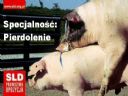1 maja - dzi� przegrali komuni�ci :D - Caine