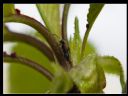 Aparaty cyfrowe: zdj�cia, jaki kupi�, porady : cz. 181 - beowulff