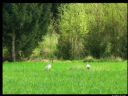 Aparaty cyfrowe: zdj�cia, jaki kupi�, porady : cz. 181 - ewelina_m