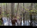 Aparaty cyfrowe: zdj�cia, jaki kupi�, porady : cz. 181 - ewelina_m
